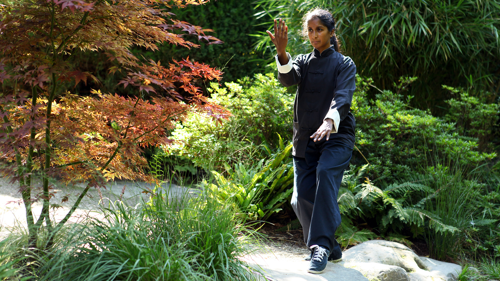 Taiji Quan