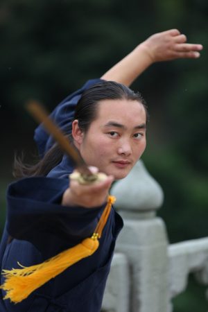 Stage Tai Chi avec Maître Ming Yue du 9 au 11 Novembre 2025